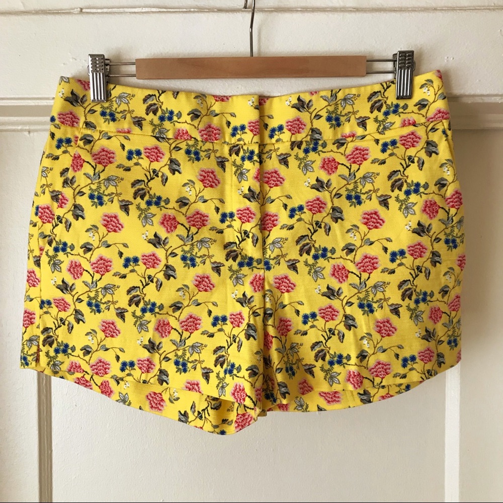 NWT Ann Taylor LOFT riviera short size 6